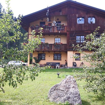 Ferienwohnung Calella Vacanze Dolomiti San Nicolo di Comelico Exterior foto